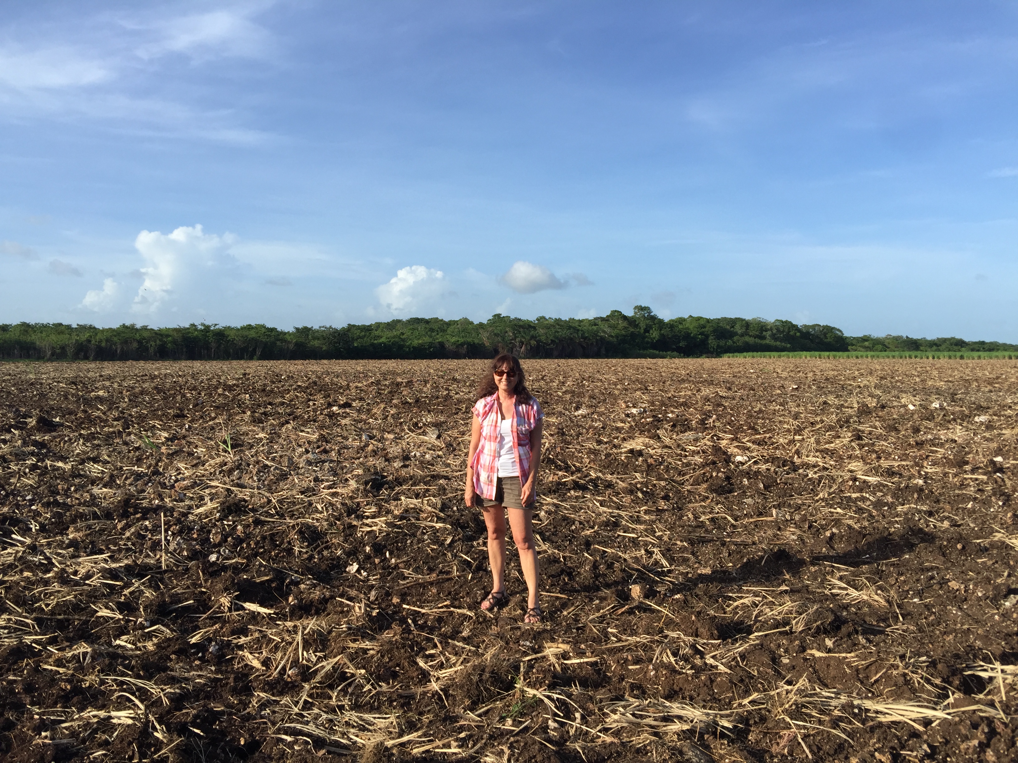 15 Acres