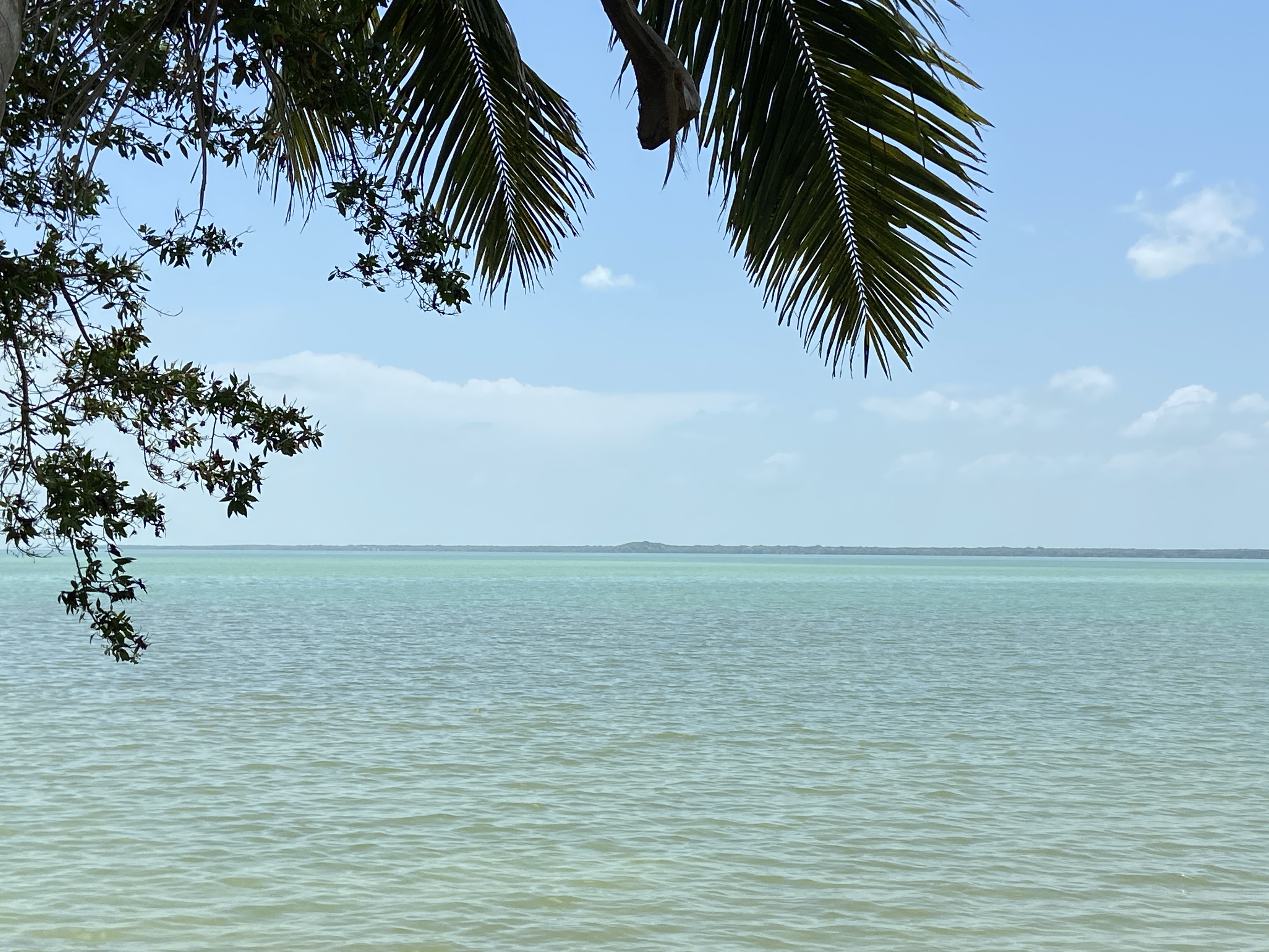 Bay with Cerros in the Distance